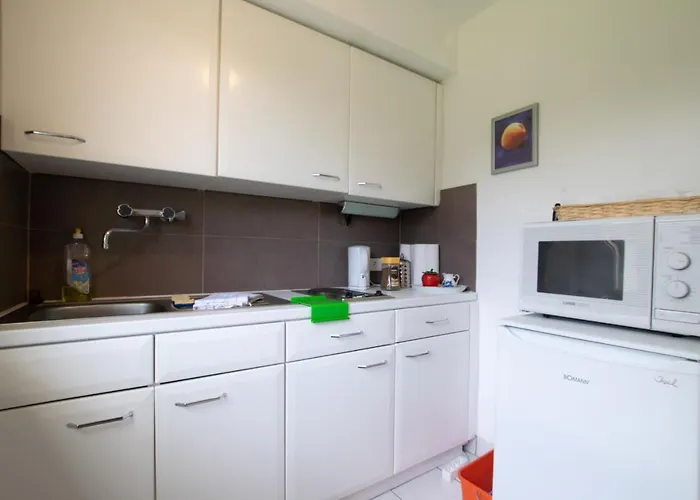 Big 1 - 15 Min Messe Dus Lejlighed